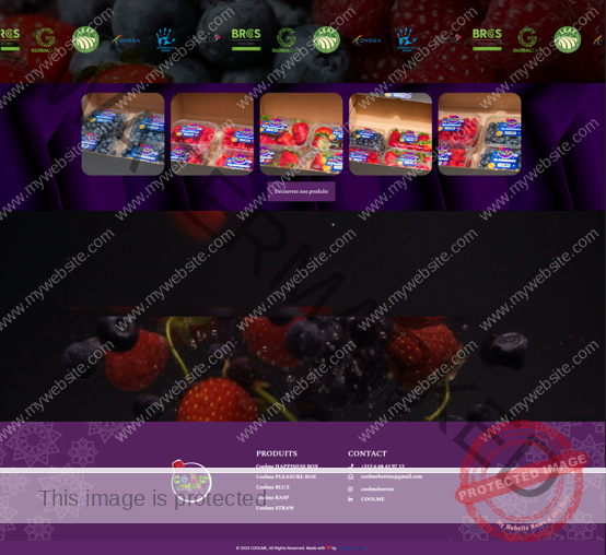 Wesign Agency Capture decran 2025 04 15 164322