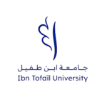 agence marketing digital